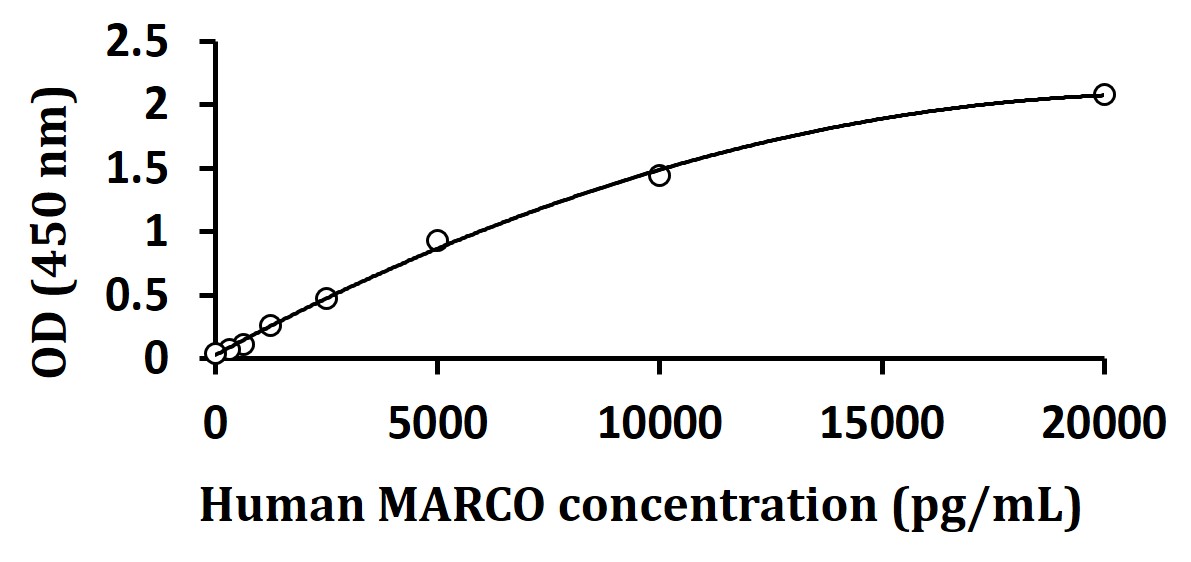 Human MARCO ELISA Kit