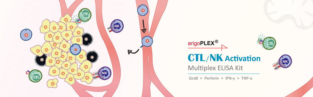 CTL/NK Activation Multiplex ELISA