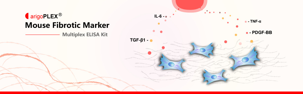 Mouse Fibrotic Marker Multiplex ELISA Kit