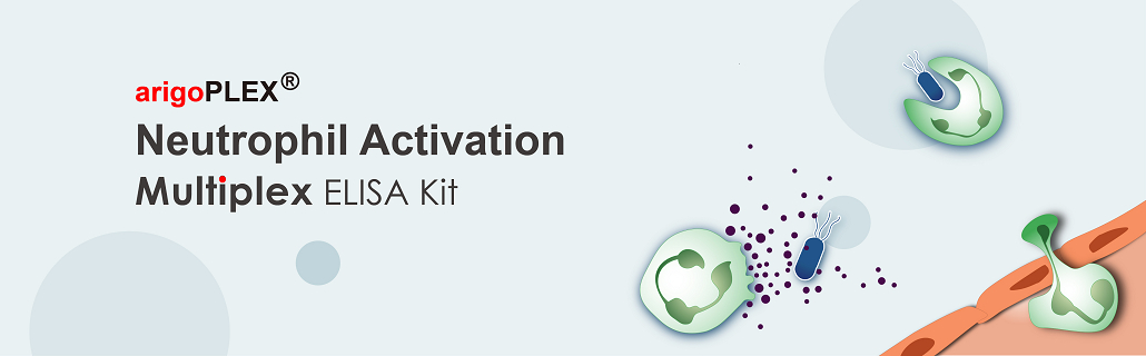 Neutrophil Activation