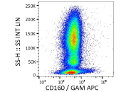 Flow cytometry analysis of human peripheral blood cells stained with anti-CD160 antibody, followed by incubation with APC-conjugated goat anti-mouse secondary antibody.