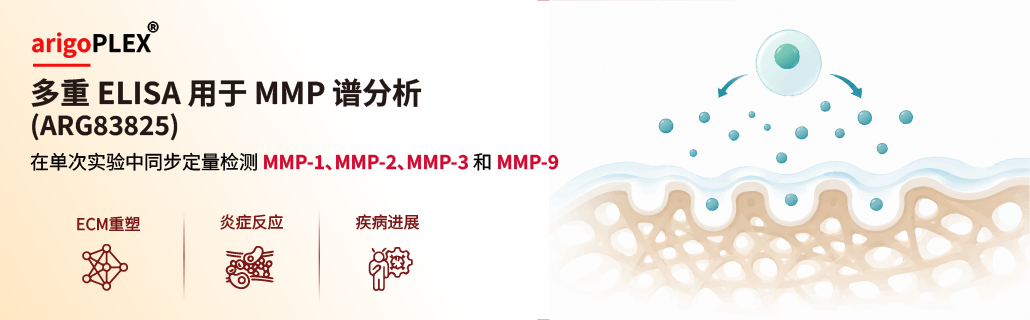 arigoPLEX® 多重 ELISA 用于 MMP 谱分析