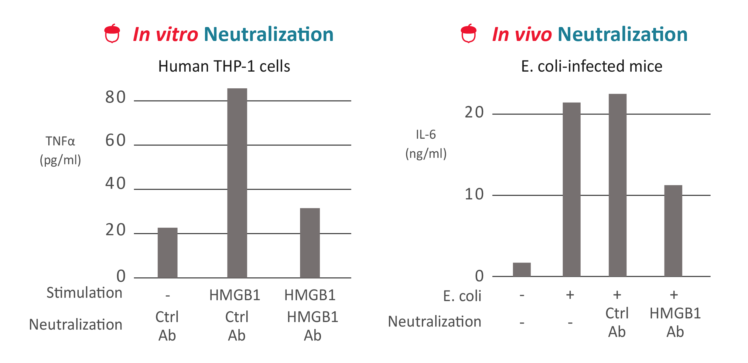 HMGB1, a biomarker and therapeutic target in COVID-19 - News - Company ...