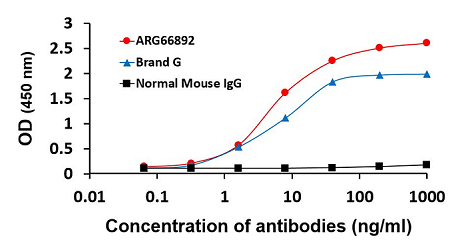 M13 antibody