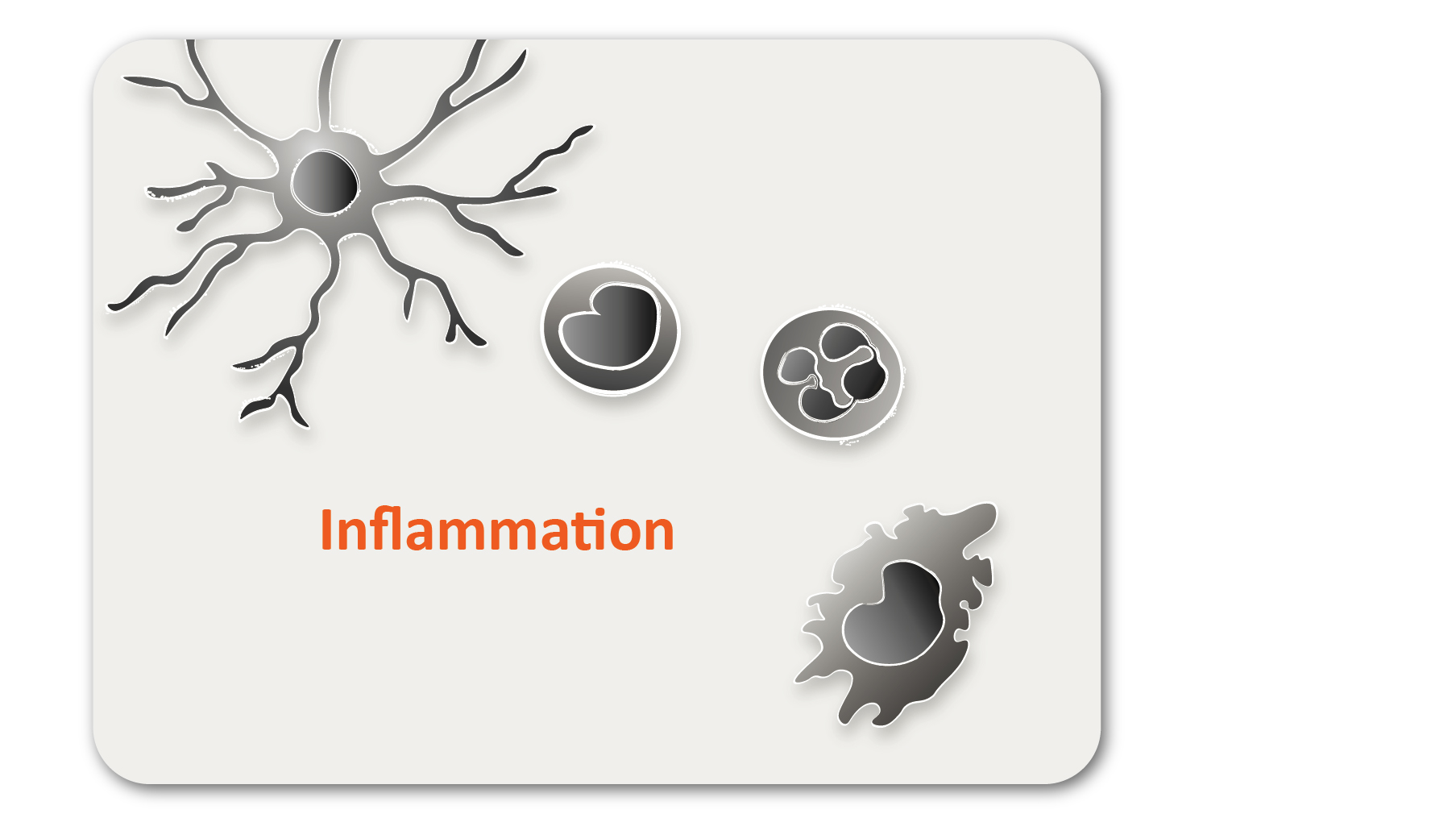 Exploring Antiviral Immune Response - News - Company - arigo ...