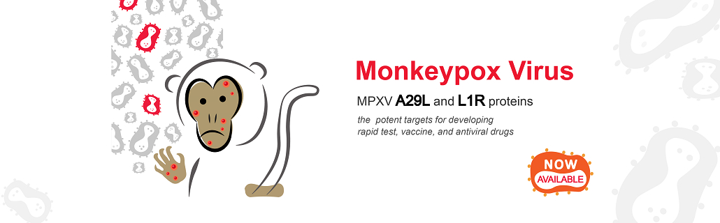 Monkeypox virus proteins and antibodies are launched - News - Company ...