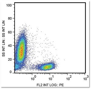 CD28 Antibody FACS image