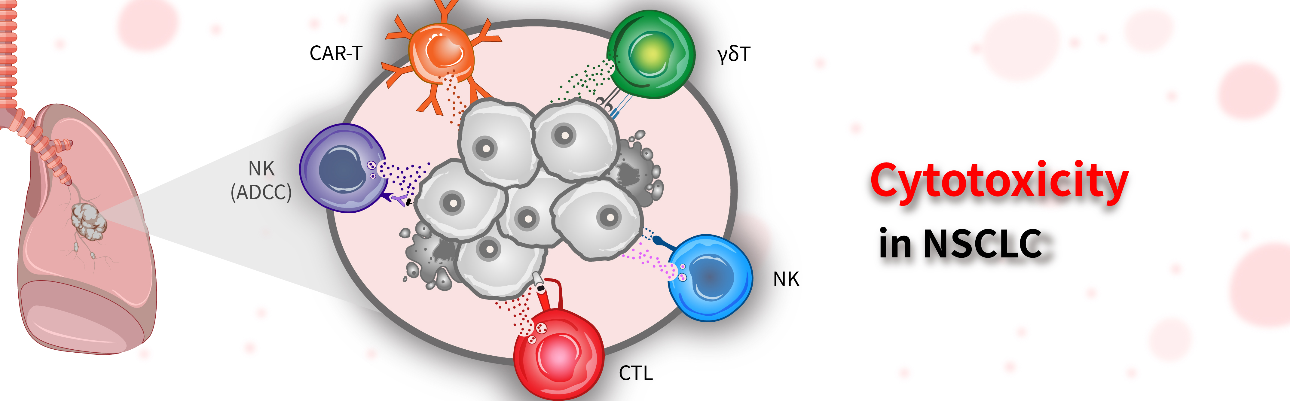 Validating cytotoxicity of γδT cells in NSCLC - News - Company - arigo ...