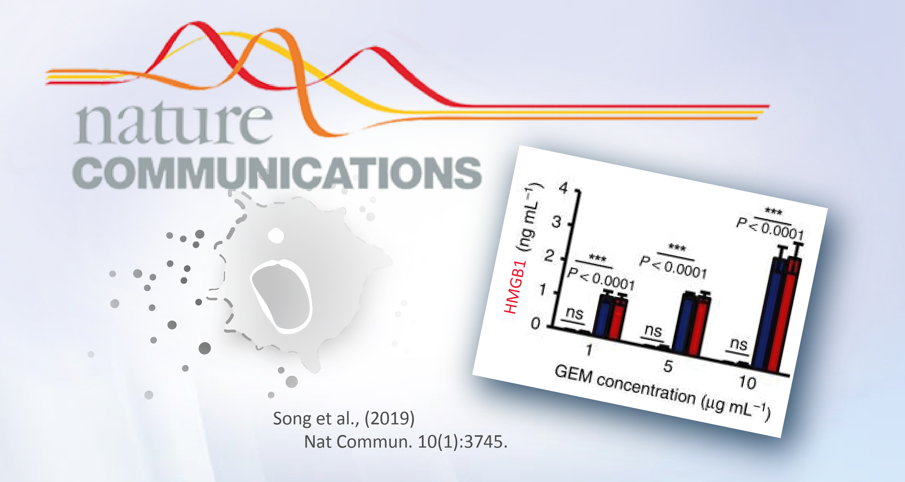 Detecting The Damps In Cancer Therapy By Hmgb1 Elisa Kit News Company Arigo Biolaboratories