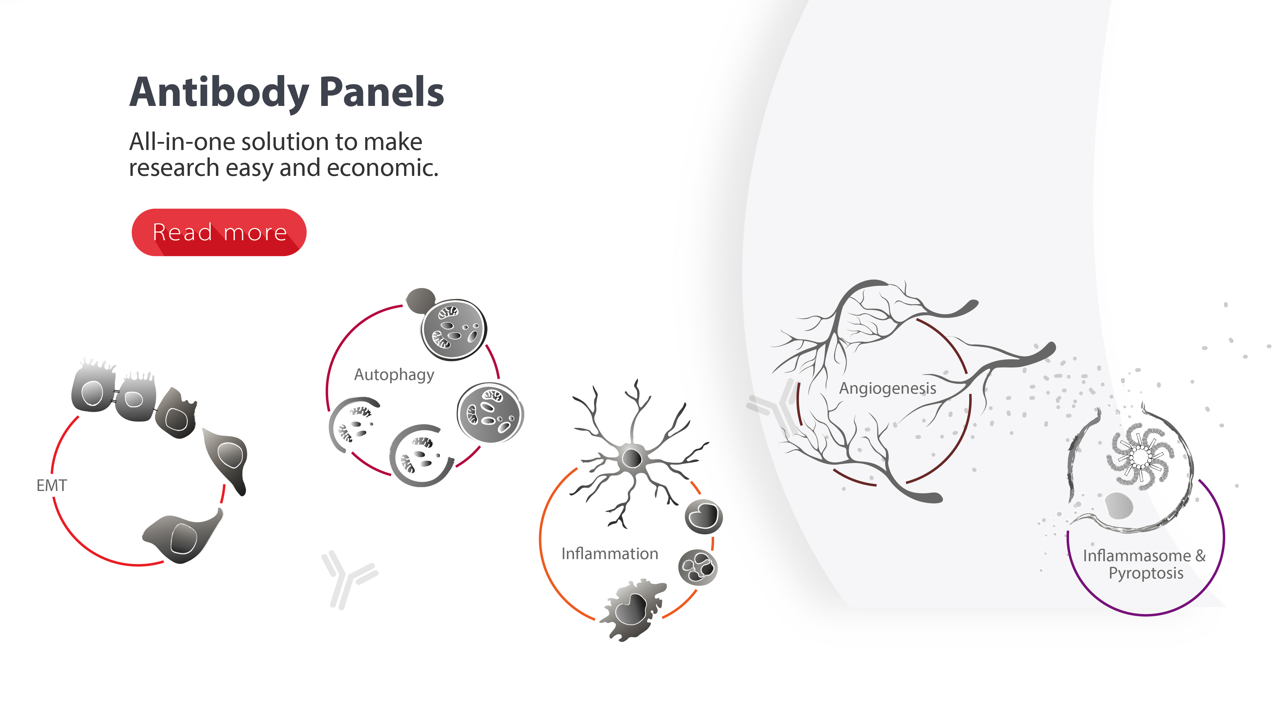 arigo's Antibody Panels