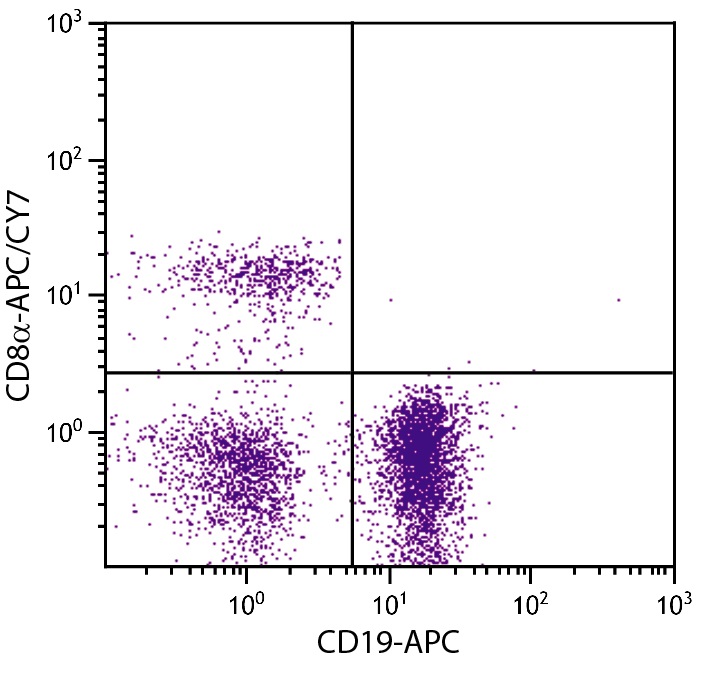 Cd 19