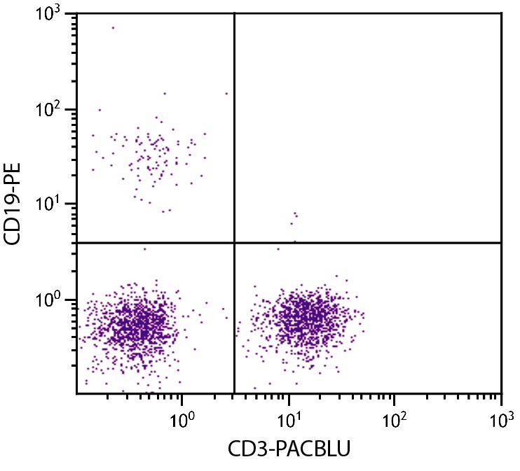 Cd 19