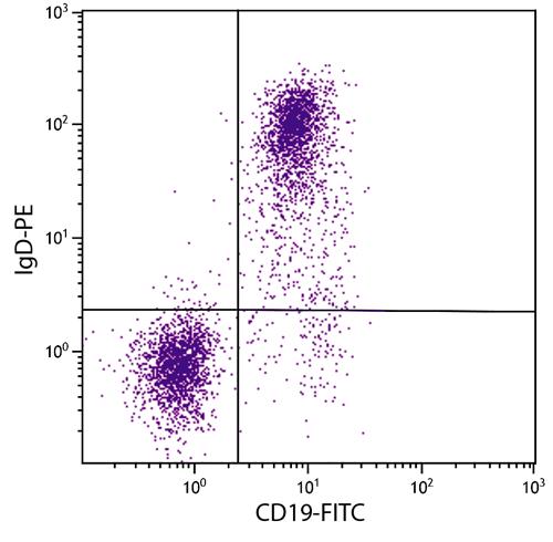 Flow Cytometry: BALB/c Mouse splenocytes stained with ARG21589 Rat anti-Mouse IgD antibody [11-26] (PE) and ARG20850 anti-CD19 antibody [6D5] (FITC).