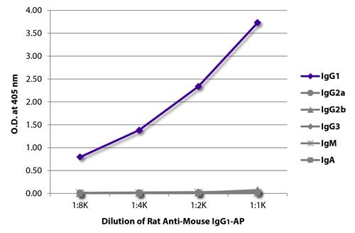 ELISA: The plate was coated with purified Mouse IgG1, IgG2a, IgG2b, IgG3, IgM, and IgA. Immunoglobulins were detected with serially diluted ARG21606 Rat anti-Mouse IgG1 antibody [SB77e] (AP).