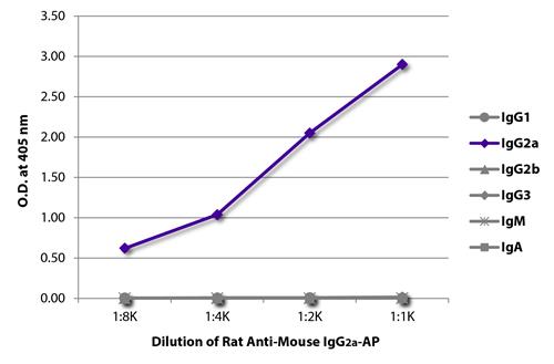 ELISA: The plate was coated with purified Mouse IgG1, IgG2a, IgG2b, IgG3, IgM, and IgA. Immunoglobulins were detected with serially diluted ARG21612 Rat anti-Mouse IgG2a antibody [SB84a] (AP).