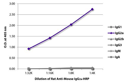 ELISA: The plate was coated with purified Mouse IgG1, IgG2a, IgG2b, IgG3, IgM, and IgA. Immunoglobulins were detected with serially diluted ARG21613 Rat anti-Mouse IgG2a antibody [SB84a] (HRP).