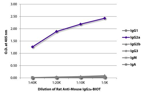 ELISA: The plate was coated with purified Mouse IgG1, IgG2a, IgG2b, IgG3, IgM, and IgA. Immunoglobulins were detected with serially diluted ARG21614 Rat anti-Mouse IgG2a antibody [SB84a] (Biotin) followed by ARG23912 Streptavidin (HRP).