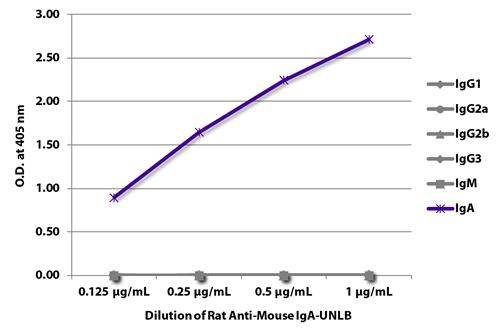 ELISA: The plate was coated with purified Mouse IgM, IgG, and IgA. Immunoglobulins were detected with serially diluted ARG21616 Rat anti-Mouse IgA antibody [11-44-2] followed by ARG21696 Mouse anti-Rat IgG1 antibody [G17E7] (HRP).