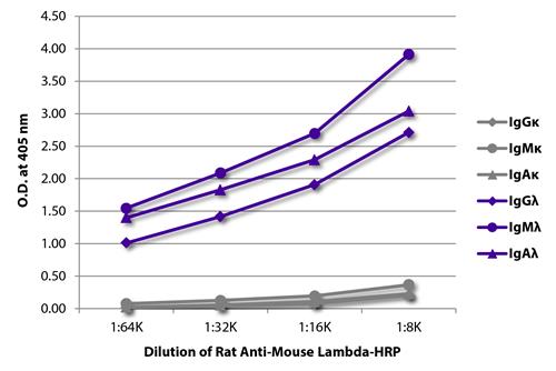 ELISA: The plate was coated with purified Mouse IgGkappa, IgMkappa, IgAkappa, IgGlambda, IgMlambda, and IgAlambda. Immunoglobulins were detected with serially diluted ARG21631 Rat anti-Mouse Lambda Light Chain antibody [JC5-1] (HRP).