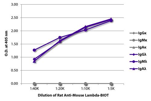 ELISA: The plate was coated with purified Mouse IgGkappa, IgMkappa, IgAkappa, IgGlambda, IgMlambda, and IgAlambda. Immunoglobulins were detected with serially diluted ARG21632 Rat anti-Mouse Lambda Light Chain antibody [JC5-1] (Biotin) followed by ARG23912 Streptavidin (HRP).