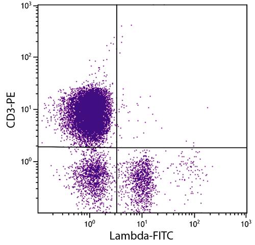 Flow Cytometry: Chicken peripheral blood lymphocytes stained with ARG21798 Mouse anti-Chicken Lambda Light Chain antibody [L-1] (FITC) and ARG21153 anti-CD3 antibody [CT-3] (PE).