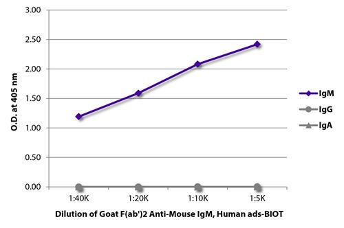 ELISA: The plate was coated with purified Mouse IgM, IgG, and IgA. Immunoglobulins were detected with serially diluted ARG21537 Goat anti-Mouse IgM antibody, F(ab)2 fragment (Biotin) (pre-adsorbed) followed by ARG23912 Streptavidin (HRP). ELISA: The plate was coated with purified Mouse IgM, IgG, and IgA. Immunoglobulins were detected with serially diluted ARG21537 Goat anti-Mouse IgM antibody, F(ab)2 fragment (Biotin) (pre-adsorbed) followed by ARG23912 Streptavidin (HRP).