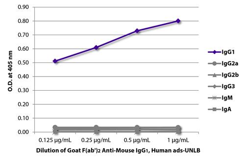 ELISA: The plate was coated with purified Mouse IgG1, IgG2a, IgG2b, IgG3, IgM, and IgA. Immunoglobulins were detected with serially diluted ARG21888 Goat anti-Mouse IgG1 antibody, F(ab)2 fragment (pre-adsorbed) followed by ARG23857 Swine anti-Goat IgG (H+L) antibody (HRP) (pre-adsorbed). ELISA: The plate was coated with purified Mouse IgG1, IgG2a, IgG2b, IgG3, IgM, and IgA. Immunoglobulins were detected with serially diluted ARG21888 Goat anti-Mouse IgG1 antibody, F(ab)2 fragment (pre-adsorbed) followed by ARG23857 Swine anti-Goat IgG (H+L) antibody (HRP) (pre-adsorbed).