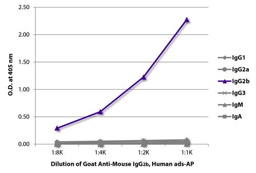ELISA: The plate was coated with purified Mouse IgG1, IgG2a, IgG2b, IgG3, IgM, and IgA. Immunoglobulins were detected with serially diluted ARG21573 Goat anti-Mouse IgG2b antibody (AP) (pre-adsorbed). ELISA: The plate was coated with purified Mouse IgG1, IgG2a, IgG2b, IgG3, IgM, and IgA. Immunoglobulins were detected with serially diluted ARG21573 Goat anti-Mouse IgG2b antibody (AP) (pre-adsorbed).