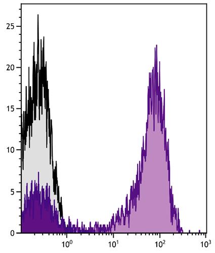 Flow Cytometry: Human peripheral blood lymphocytes stained with Mouse anti-Human CD5 antibody followed by ARG22365 Goat anti-Mouse IgG2a antibody (PE-Cyanine 7) (pre-adsorbed).