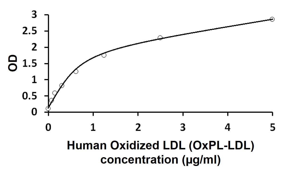 Human Oxidized Ldl Oxpl Ldl Elisa Kit Arg Arigo Biolaboratories