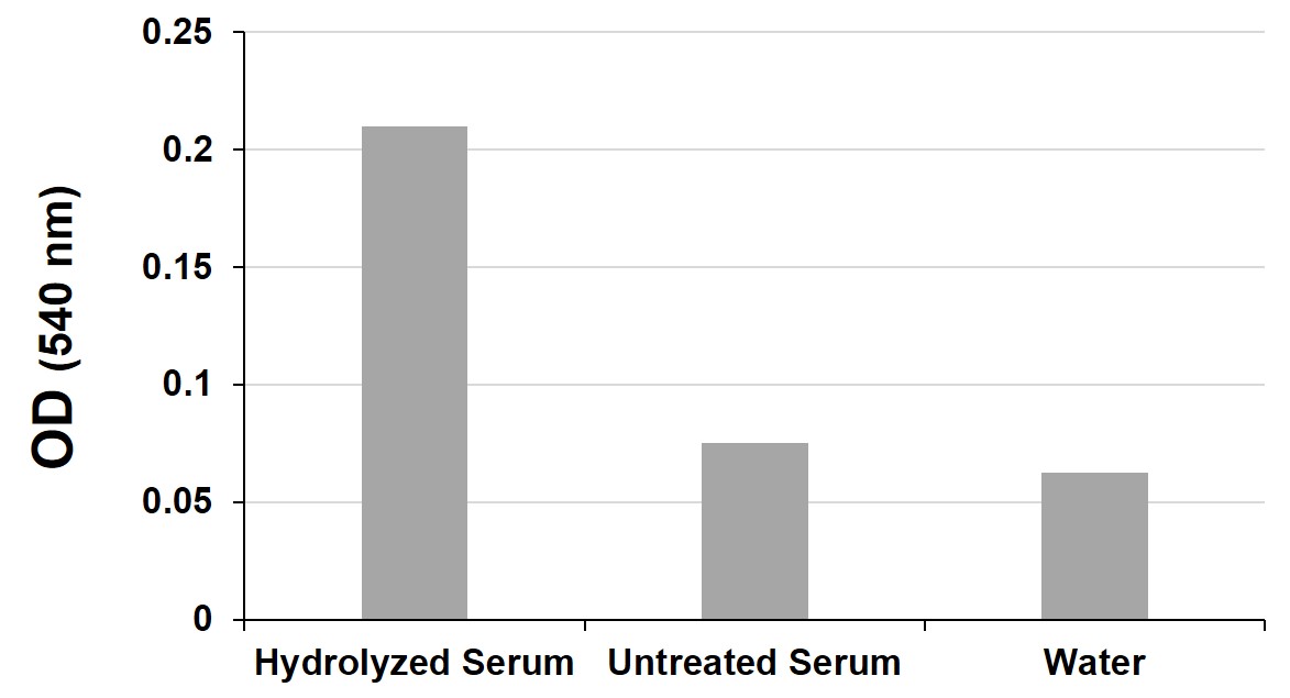 Hydrolyzed serum, untreated serum and water samples tested with ARG81311 Hydroxyproline Assay Kit (OD reading at 540 nm).