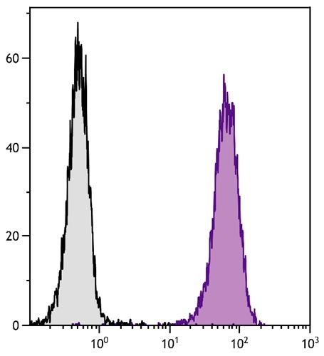 Flow Cytometry: BALB/c Mouse splenocytes were stained with ARG20565 anti-CD45 antibody [I3/2.3] followed by ARG23755 Goat anti-Rat IgG (H+L) antibody (FITC), pre-adsorbed.