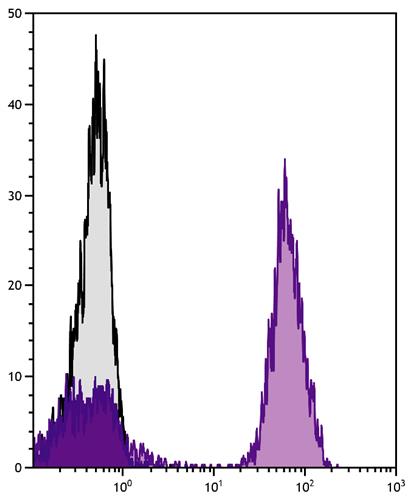 Flow Cytometry: Human peripheral blood lymphocytes were stained with Mouse anti-Human CD3 followed by ARG23757 Goat anti-Mouse IgG (H+L) antibody (FITC), pre-adsorbed.
