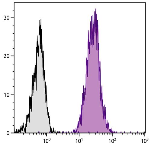 Flow Cytometry: BALB/c Mouse splenocytes were stained with ARG20565 anti-CD45 antibody [I3/2.3] followed by ARG23762 Goat anti-Rat Ig antibody (PE), pre-adsorbed.