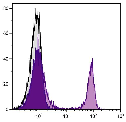 Flow Cytometry: BALB/c Mouse splenocytes were stained with ARG21979 anti-CD4 antibody [GK1.5] followed by ARG23763 Goat anti-Rat IgG (H+L) antibody (PE), pre-adsorbed.