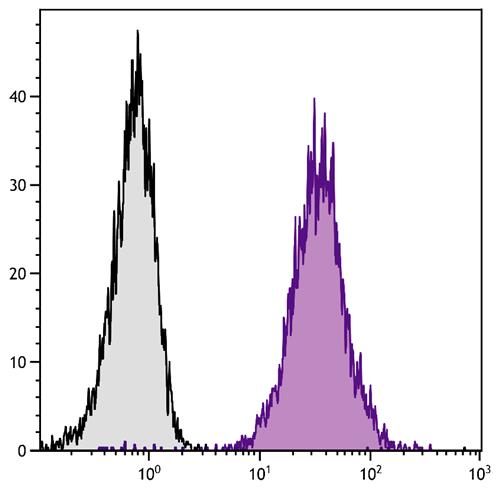 Flow Cytometry: BALB/c Mouse splenocytes were stained with ARG20565 anti-CD45 antibody [I3/2.3] followed by ARG23763 Goat anti-Rat IgG (H+L) antibody (PE), pre-adsorbed.