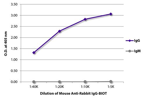 ELISA: ELISA plate was coated with purified Rabbit IgG and IgM. Immunoglobulins were detected with serially diluted ARG23849 Mouse anti-Rabbit IgG antibody [2A9] (Biotin) followed by Streptavidin-HRP.