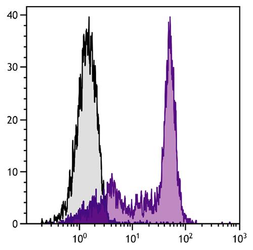 Flow Cytometry: BALB/c Mouse splenocytes were stained with ARG22038 anti-CD45RC antibody [GL24] followed by ARG23834 Mouse anti-Rat Kappa Light Chain antibody [K4F5] (PE).