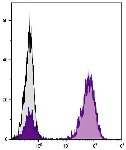 Flow Cytometry: Human peripheral blood lymphocytes were stained with Mouse anti-Human CD3 followed by ARG23782 Goat anti-Mouse IgA + IgG + IgM antibody (PE) (pre-adsorbed).