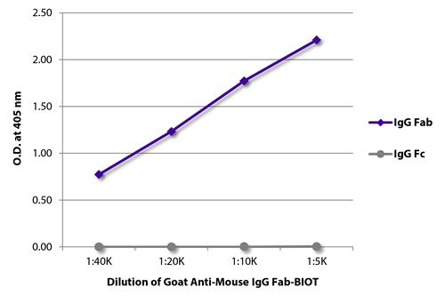 ELISA: The plate was coated with purified Mouse IgG Fab and IgG Fc. Immunoglobulins were detected with serially diluted ARG23786 Goat anti-Mouse IgG (Fab) antibody (Biotin) (pre-adsorbed) followed by Streptavidin-HRP.