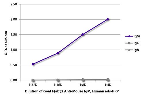 ELISA: ELISA plate was coated with purified Mouse IgM, IgG, and IgA. Immunoglobulins were detected with serially diluted ARG23787 Goat anti-Mouse IgM antibody, F(ab)2 fragment (HRP), pre-adsorbed.