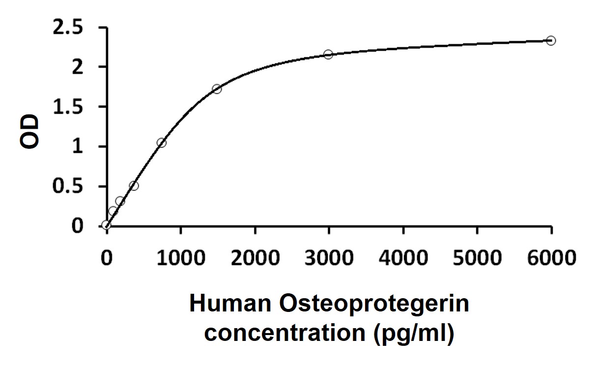 ARG81418 Human Osteoprotegerin ELISA Kit results of a typical standard run with optical density reading at 450 nm. ARG81418 Human Osteoprotegerin ELISA Kit results of a typical standard run with optical density reading at 450 nm.