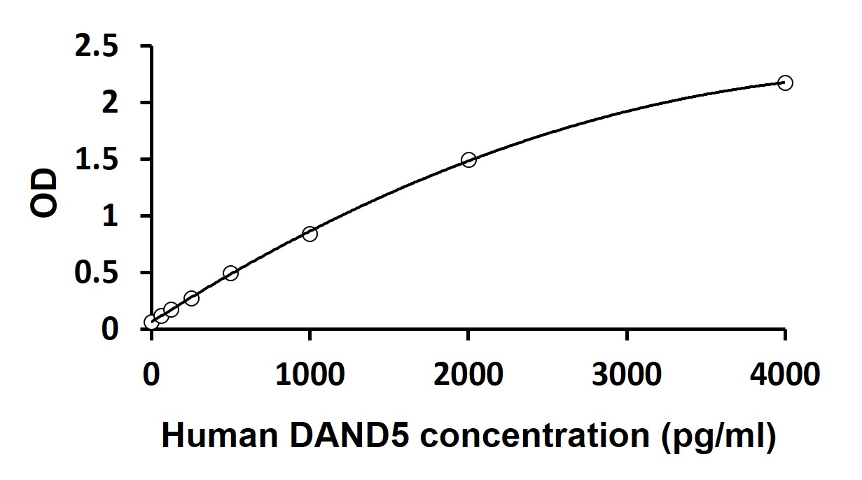 ARG81623 Human DAND5 ELISA Kit results of a typical standard run with optical density reading at 450 nm. ARG81623 Human DAND5 ELISA Kit results of a typical standard run with optical density reading at 450 nm.