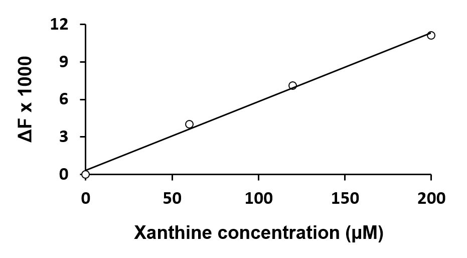 Fluorimetric assay: ARG82197 Xanthine Assay Kit results of a typical data.