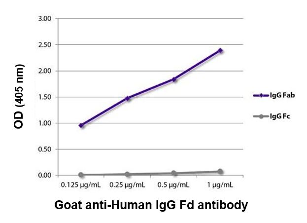 ELISA: The plate was coated with purified Human IgG Fab and IgG Fc. Immunoglobulins were detected with serially diluted ARG24054 Goat anti-Human IgG (Fd) antibody (pre-adsorbed) followed by Mouse anti-Goat IgG (Fc) antibody (HRP).