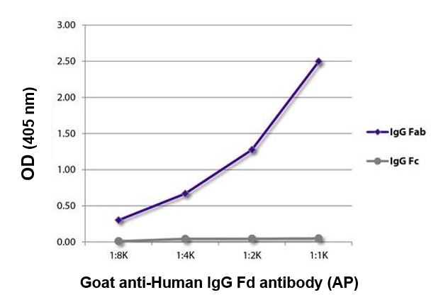 ELISA: The plate was coated with purified Human IgG Fab and IgG Fc. Immunoglobulins were detected with serially diluted ARG24055 Goat anti-Human IgG (Fd) antibody (AP) (pre-adsorbed).