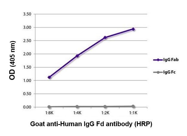 ELISA: The plate was coated with purified Human IgG Fab and IgG Fc. Immunoglobulins were detected with serially diluted ARG24056 Goat anti-Human IgG (Fd) antibody (HRP) (pre-adsorbed).