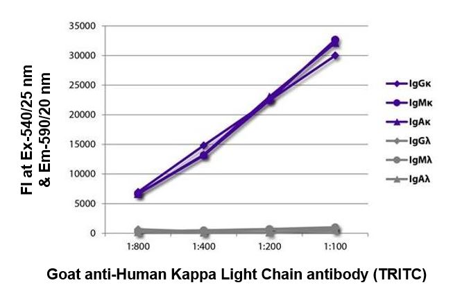 FLISA: The plate was coated with purified Human IgGkappa, IgMkappa, IgAkappa, IgGlambda, IgMlambda and IgAlambda. Immunoglobulins were detected with serially diluted ARG24059 Goat anti-Human Kappa Light Chain antibody (TRITC) (pre-adsorbed).