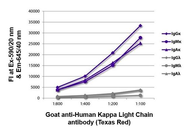 FLISA: The plate was coated with purified Human IgGkappa, IgMkappa, IgAkappa, IgGlambda, IgMlambda and IgAlambda. Immunoglobulins were detected with serially diluted ARG24061 Goat anti-Human Kappa Light Chain antibody (Texas Red) (pre-adsorbed).
