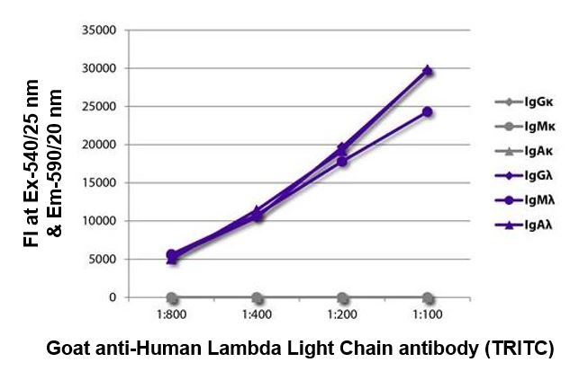 FLISA: The plate was coated with purified Human IgGkappa, IgMkappa, IgAkappa, IgGlambda, IgMlambda and IgAlambda. Immunoglobulins were detected with serially diluted ARG24064 Goat anti-Human Lambda Light Chain antibody (TRITC) (pre-adsorbed).